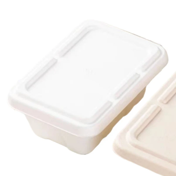 takeout bagasse lid